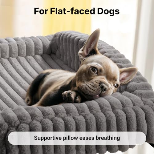 Veehoo Hundeliege Hundesofa für Kleine Hunde, Flauschige Erhöhtes Hundebett mit Abnehmbarem Polster und Orthopädische Matratze, Hunde Sofa Katzensofa mit rutschfeste Füße, Grau 60x45x10cm