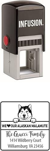 Vista 98 de Infusion Sello de goma cuadrado personalizado para raza de perro (Labrador Retriever)