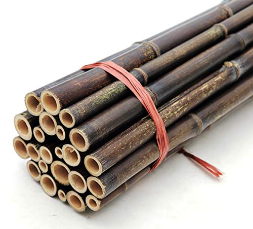Brownish Black Bamboo Poles -3/4 to 1" Diameter Pack of 25