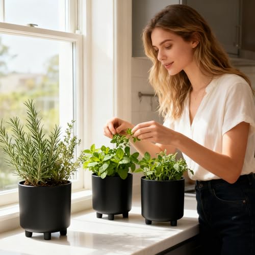 Pots de fleurs en métal surélevés pour nettoyer sans effort
