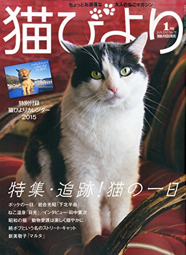 猫びより 2015年 01月号 [雑誌]