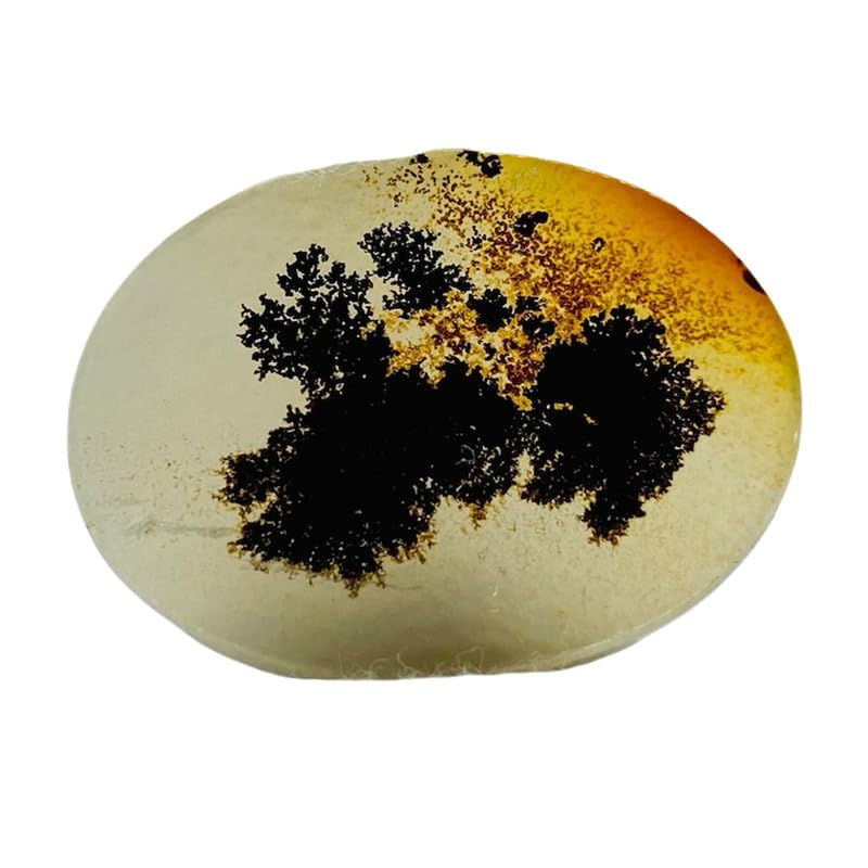 Agate dendritique naturelle 28x20mm pour réussir vos bijoux faits main