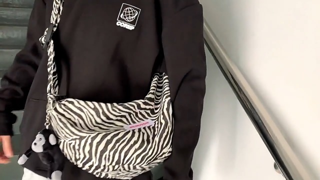 KASESSS Zebra-Print Umhängetasche Damen Klein – Stylische Nylon Hobo Bag Mit Reißverschluss, Schultertasche