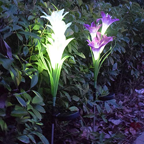 Ajcoflt LEDs flor movidos a energia solar Luz RGB Gramado Lâmpada IP55 Resistência à água Built-in 3