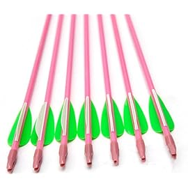 GPP 28 Pink Fiberglass Archery Target Arrows - Practice Arrow or Youth Arrow for Recurve Bow- 12 Pack