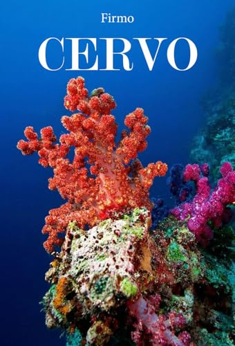 Cervo