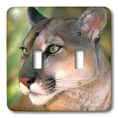 Interrupteur à bascule double 3dRose California Mountain Lion double commande lumineuse - 3