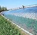 Mitef - Manta de plástico Transparente para Invernadero, Resistente a los Rayos...