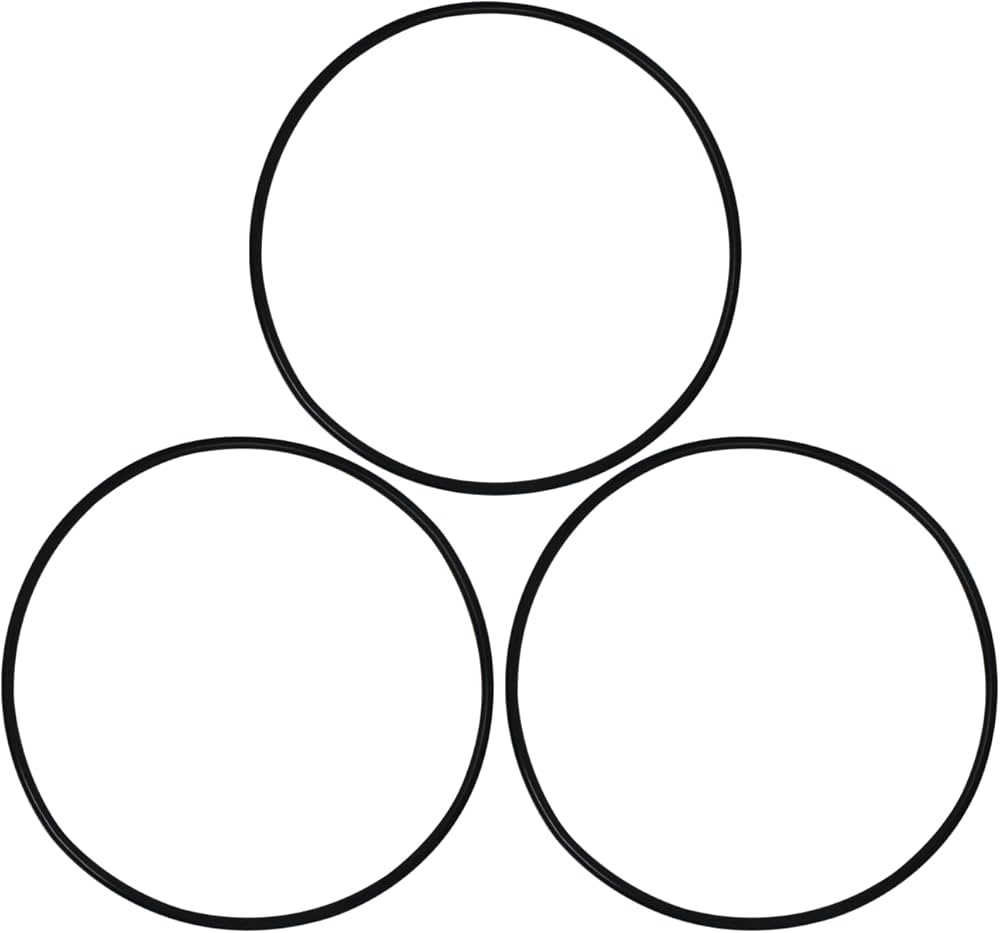 Sanon　0724 Amazon.com: 154493 O-Ring Closure for Pentair Tagelus and Triton