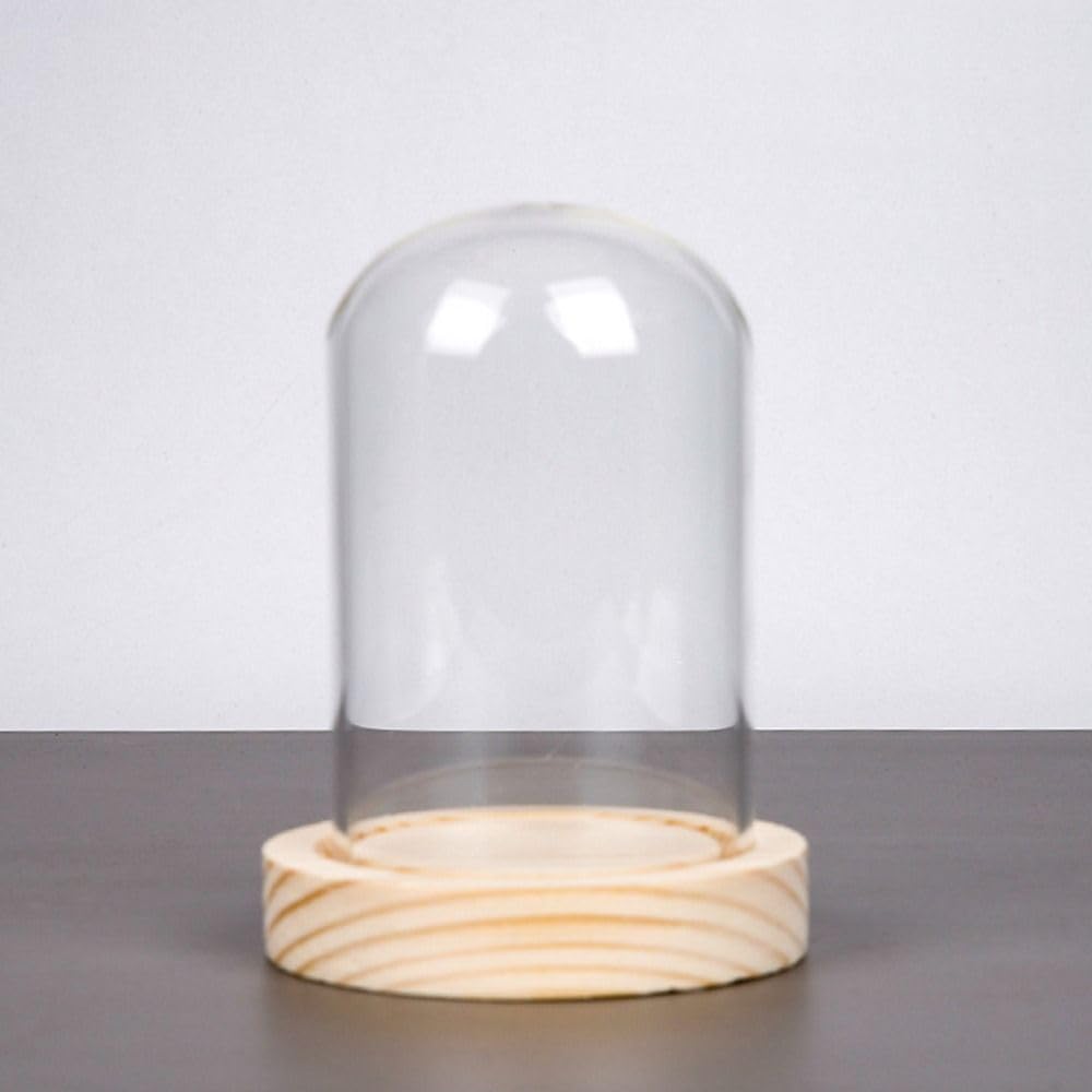 クリアガラス ベル型　ドーム　クロッシュ Amazon.co.jp: hobbyme クリアクローシュガラスドーム、ガラス