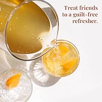 Vista 4 de Bolsas de té helado The Republic of Tea.