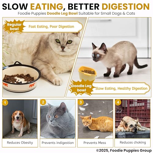 Image of Foodie Puppies Cat Detachable Food and Water Feeder - 300ml (Doodle Leg Bowl) | Durable, Anti Vomiting, Healthy Cat Bowl for Persian Cats Prevent Tipping Over | Feeder for Cats and Small Dogs