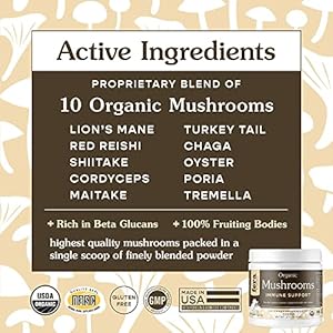 Fera-Pets-Mushroom-Supplement-for-Dogs-Cats-Vet-Created-for-Cognition-Immune-System--Organic-Lions-Mane-Shiitake-Mushrooms-120-Scoops - Cucciolini Doodles   Fera-Pets-Mushroom-Supplement-for-Dogs-Cats-Vet-Created-for-Cognition-Immune-System--Organic-Lions-Mane-Shiitake-Mushrooms-120-Scoops