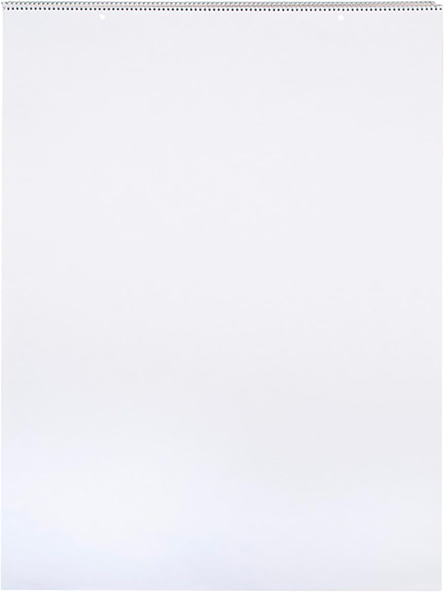 School Smart Chart Paper Pad, 32 x 24 Inches, Unruled, 25 Sheets