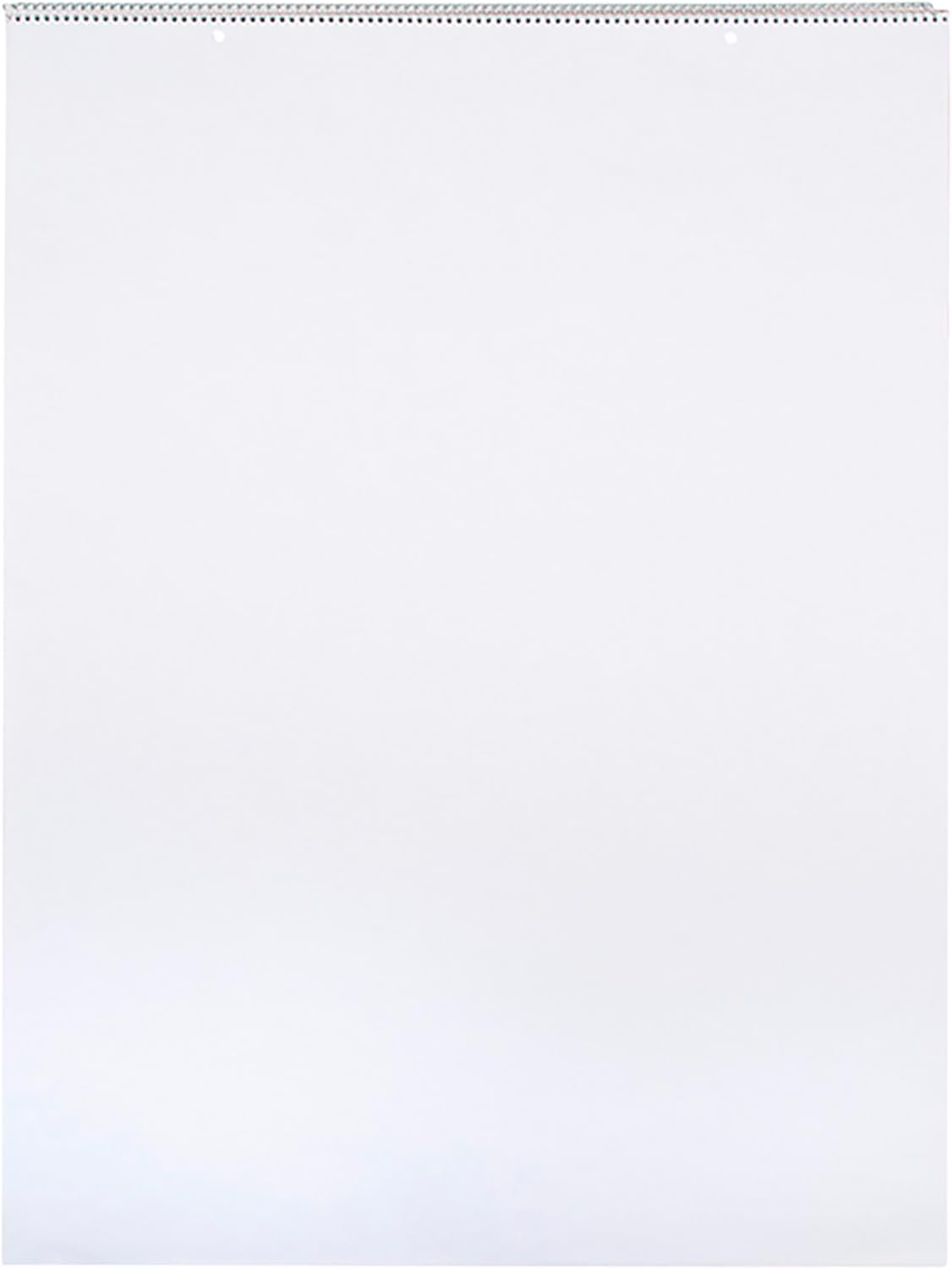 School Smart Chart Paper Pad, 32 x 24 Inches, Unruled, 25 Sheets