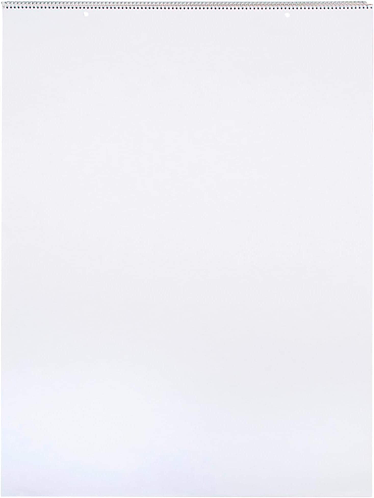 School Smart Chart Paper Pad, 32 x 24 Inches, Unruled, 25 Sheets