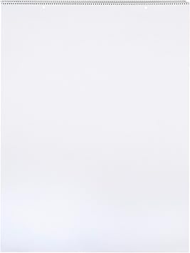 School Smart Chart Paper Pad, 32 x 24 Inches, Unruled, 25 Sheets