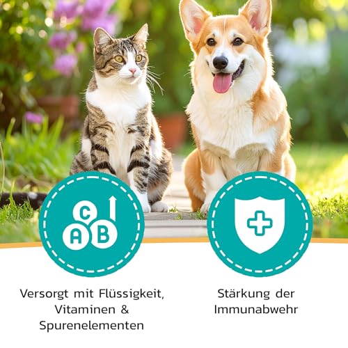Liquidocare Immun 180 ml – Ergänzungsfuttermittel für Hunde & Katzen – Flüssiges Tonikum zur Stärkung des Immunsystems – mit Sonnenhut & Taigawurzel, frei von Konservierungsstoffen