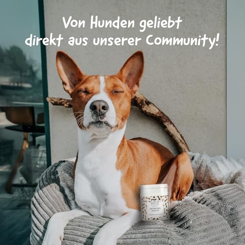 Belly® Natürliche Kohletabletten Hund - Aktivkohle Tabletten, Zum Aufbau von Darmbakterien & Darmflora - mit Antioxidantien, Vitaminen und Mineralien, vegan (120g)