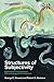 Structures of Subjectivity: Explorations in Psychoanalytic Phenomenology and Contextualism (Psychoanalytic Inquiry Book Series)