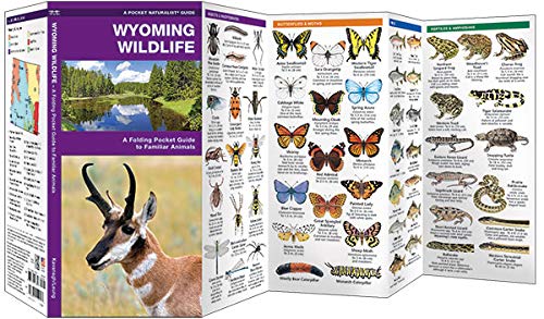 Wyoming Wildlife: A Folding Pocket Guide To Familiar Animals (Wildlife And Nature Identification) #TOP2