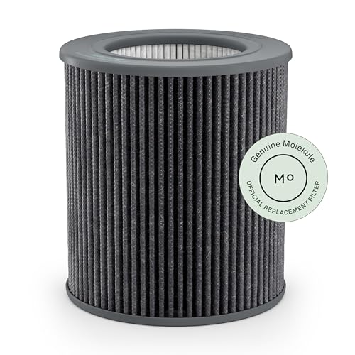 Filtre PECO Molekule pour Air Mini contre les allergies respiratoires et bactéries