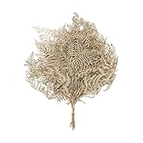 Vosteen Import Export GmbH