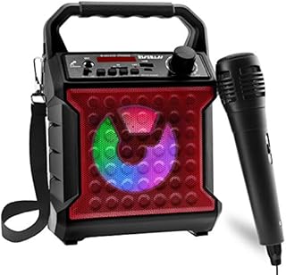 Risebass Portable Bluetooth Speaker with Microphone Set - Home Karaoke Machine and PA System for Kids and Adults with Party Lights - Rechargeable USB Speaker Set with FM Radio, SD/TF Card and AUX.