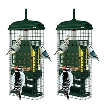 brome squirrel buster suet feeder
