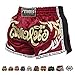 KINGTOP Top King Boxing Muay Thai Shorts Normal or Retro Style Size S, M, L, XL, 3L, 4L (Retro Red 2 XL)
