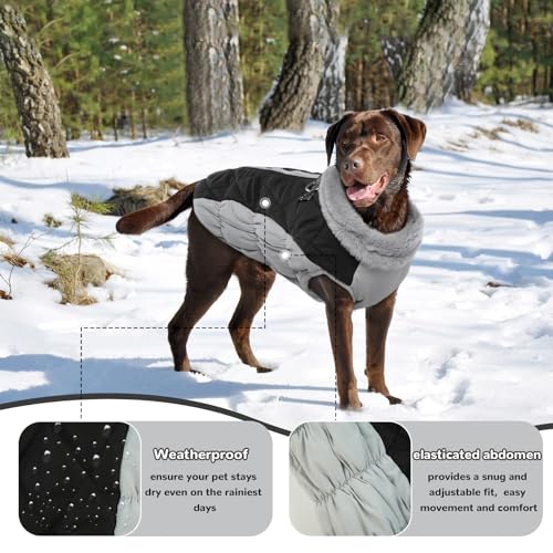 Hjumarayan Hundemantel für Kleine Mittelgroße Grosse Hunde, Hundejacke Warme Hundeweste Wintermantel Hund Wasserdicht Hunde Mantel Gefüttert, Hundemantel Französische Bulldogge (Schwarz M)