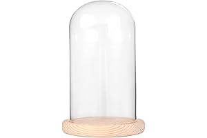 La Cúpula: 7" x 4" Glass Display Cloche Dome