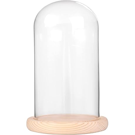 La Cúpula: 7" x 4" Glass Display Cloche Dome