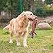 HIPIPET Dog No Stuffing Toys Dog Squeaky Toys Plush Chewers for Large Dog 4PCS Large Dog Toy Set