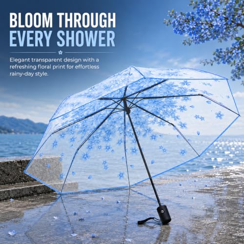 Image of Contacts Transparent Windproof Travel Waterproof Canopy, Strong Fiberglass Frame Portable Umbrella for Rain