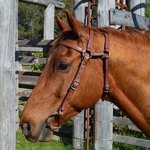 English Bridle Headstall Reins Leather Cowhide Genuine Horse Crossover Crossunder Raised Fancy Stitched Laced All Purpose Jumping Dressage Rubber Crystal Padded Adjustable Browband Full-Cob,M72