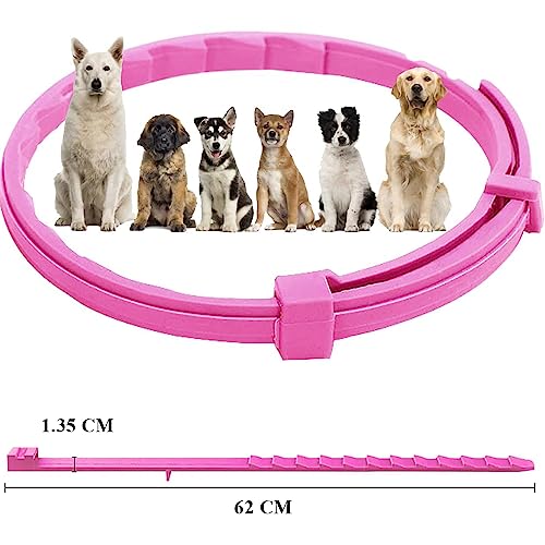 SSyang Leuchtendes Präventionshalsband, 2 Stücke Zeckenhalsband für Hunde und Katzen Gegen Parasiten mit bis 8-Monatigen Schutz,Fluoreszierendes Halsband Universell Jede Größe Verstellbar(Rosa+Blau)