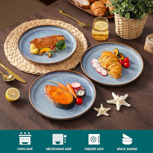 Image of vancasso Playa 10.25 inch Dinner Plate for 6 People, Stoneware Side Plates for Dessert /Pasta /Main Course, Dishwasher and Microwave Safe, Scratch Resistant Serving Plate, Lavender Blue
