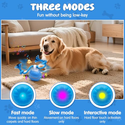 Interaktives Hundespielzeug, Interaktiver Spielball für Hunde mit LED-Lichtern, 3 Spielmodi, Hundeball Elektrisch mit Seil & Bellen, TYPE-C Aufladbar, Hundespielball für Kleine Mittlere Große Hunde