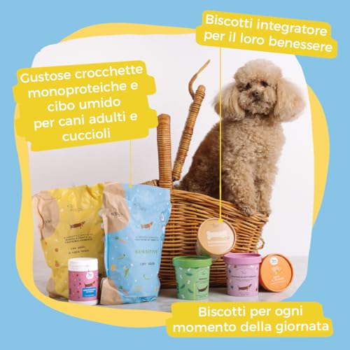 Hygge Dog Hundekekse für Hunde, gegen Dermatitis | Reich an schwarzen Johannisbeeren für EIN strahlendes und gesundes Fell | Funktioneller Hundesnack Geschmack Johannisbeere | 100 g | italienisches