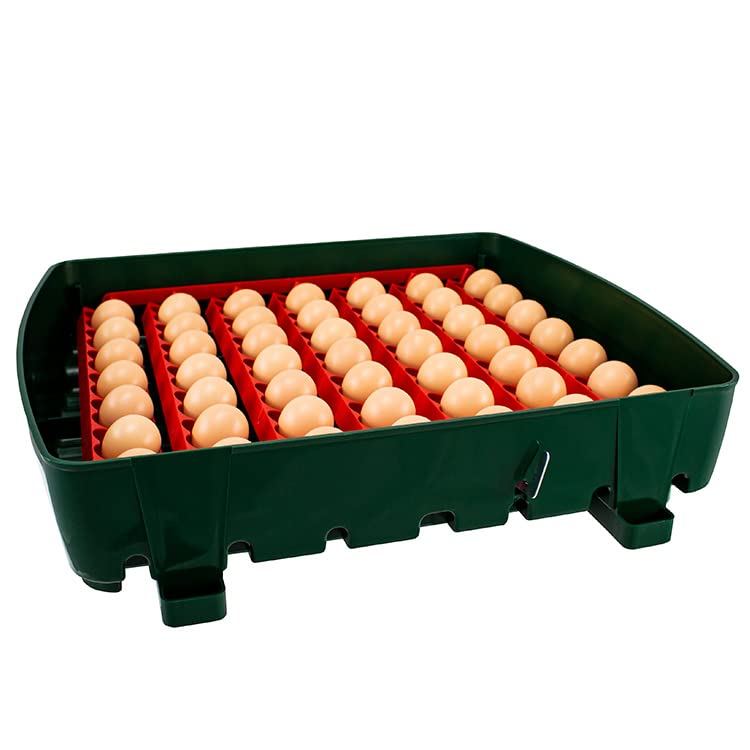 Incubadora digital semiautomática ET49 para huevos - River Systems - capacidad 49 huevos de tamaño mediano o 196 pequeños