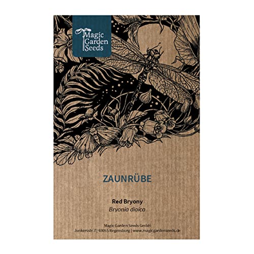 Nabo del diablo (Bryonia dioica) - aprox. 10 semillas