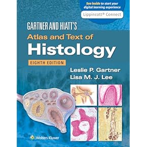Amazon.co.jp: Histology - Basic Sciences: 洋書
