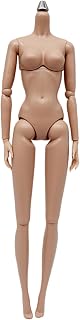1/6 Scale Action Figure, Multi Jointed Movable Female Action Figure Body for Display Collection