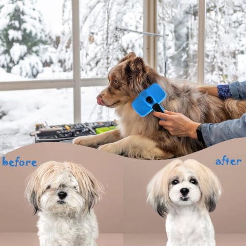 Image of Pet Needle Comb Dog Comb Hair Combiner Dog Hair Comb God Tool for Cat Comb Floating Hair Removal Special Comb for Cat Hair (blue, Small)