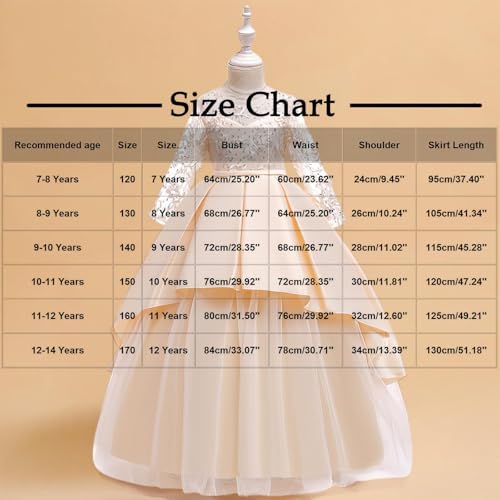 Girls Birthday Party Dress Lace Embroidery Long Sleeve Tiered Tulle Ball Gown Communion Pageant Wedding Bridesmaid3