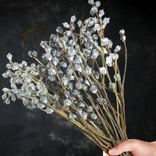 Paquete de 32 tallos secos de eucalipto natural miniatura 1