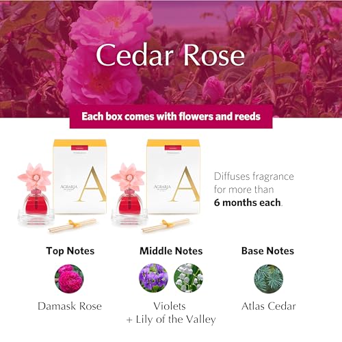 Set Difusor de Aromas Cedro Rosado Agraria miniatura 3