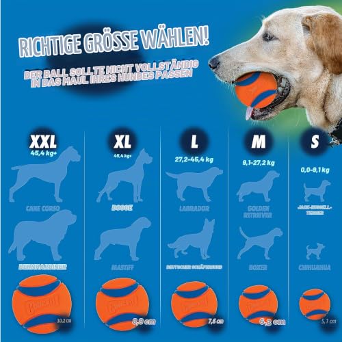 Chuckit! Apportier- und Faltballwerfer für Hunde, zum Aufheben und Werfen, freihändiges Spielen, praktisches Reise-Spielzeug mit Gummiball
