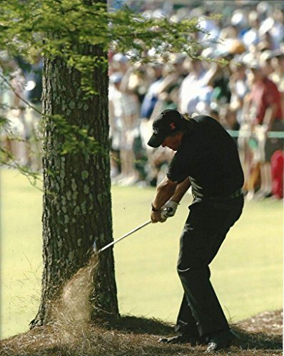 Golf Collectibles Phil Mickelson Shooting Around a Tree During his
